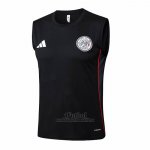 Camiseta de Entrenamiento Ajax Sin Mangas 2025-2026 Negro