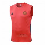 Camiseta de Entrenamiento Bayern Munich Sin Mangas 2025-2026 Naranja