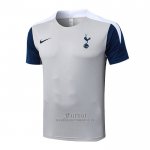 Camiseta de Entrenamiento Tottenham Hotspur 2025-2026 Gris