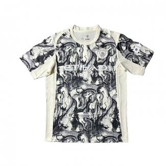 Camiseta Manchester City Special 2025-2026 Gris