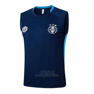 Camiseta de Entrenamiento Gremio Sin Mangas 2025-2026 Azul