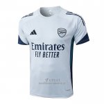 Camiseta de Entrenamiento Arsenal 2025-2026 Gris