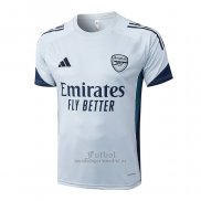 Camiseta de Entrenamiento Arsenal 2025-2026 Gris