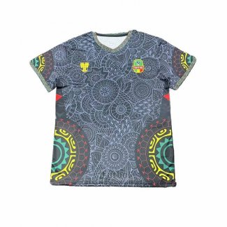 Camiseta Mali Special 2025-2026 Gris Tailandia