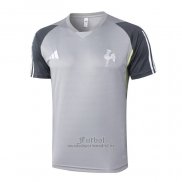 Camiseta de Entrenamiento Atletico Mineiro 2024-2025 Gris