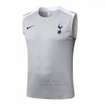 Camiseta de Entrenamiento Tottenham Hotspur Sin Mangas 2025-2026 Gris