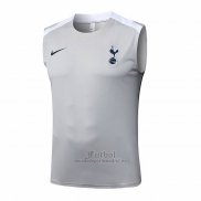 Camiseta de Entrenamiento Tottenham Hotspur Sin Mangas 2025-2026 Gris