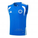 Camiseta de Entrenamiento Cruzeiro Sin Mangas 2025-2026 Azul