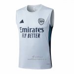 Camiseta de Entrenamiento Arsenal Sin Mangas 2025-2026 Gris