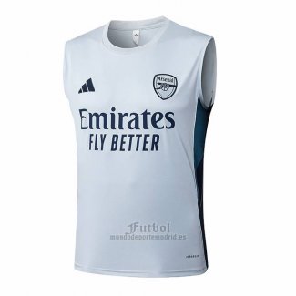 Camiseta de Entrenamiento Arsenal Sin Mangas 2025-2026 Gris