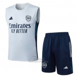 Chandal del Arsenal Sin Mangas 2025-2026 Gris