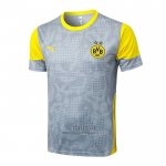 Camiseta de Entrenamiento Borussia Dortmund 2025-2026 Gris