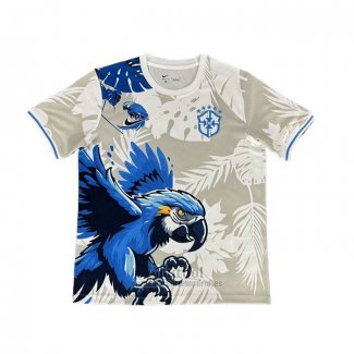 Camiseta Brasil Special 2025-2026 Gris Azul Tailandia